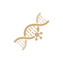 Binds to adenosine receptors
